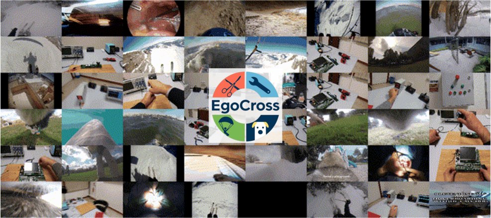 The First EgoCross Challenge at EgoVis 2026: Cross-Domain Egocentric Video Question Answering Figure 1
