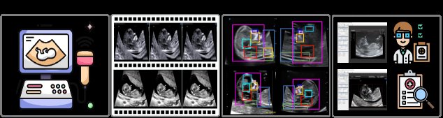 FUSEP: A Multi-Center Benchmark for Diverse Tasks in Early Pregnancy Fetal Ultrasound Screening Figure 1