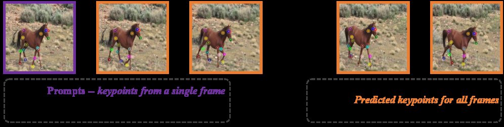 Promptable Animal Pose Tracking Across Species Figure 1