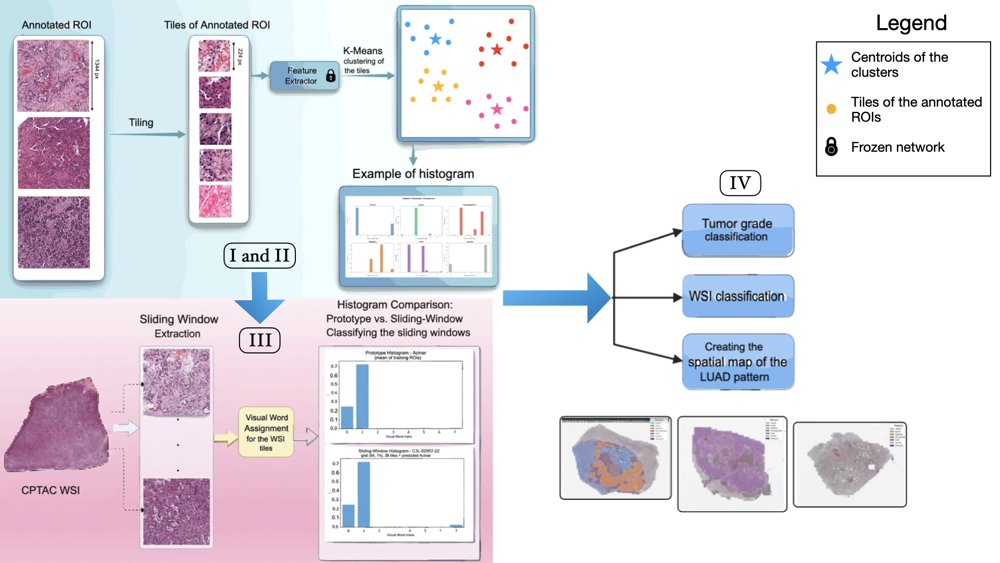 Bag-of-Visual-Words for Spatial Mapping of Lung Adenocarcinoma Growth Patterns Figure 1