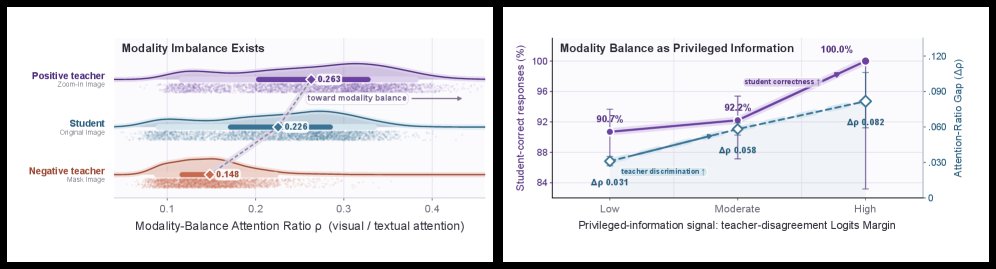 OPD-V: Visual On-Policy Self-Distillation with Modality Balance Figure 1
