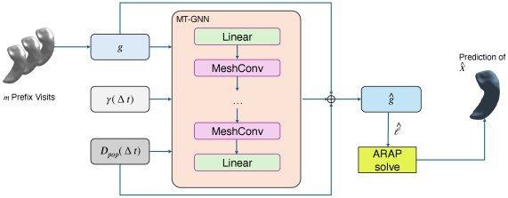 Predicting Brain Morphometry with MT-GNN: Mesh Evolution in Continuous Time with Graph-Based Metric Tensor Embeddings Figure 1