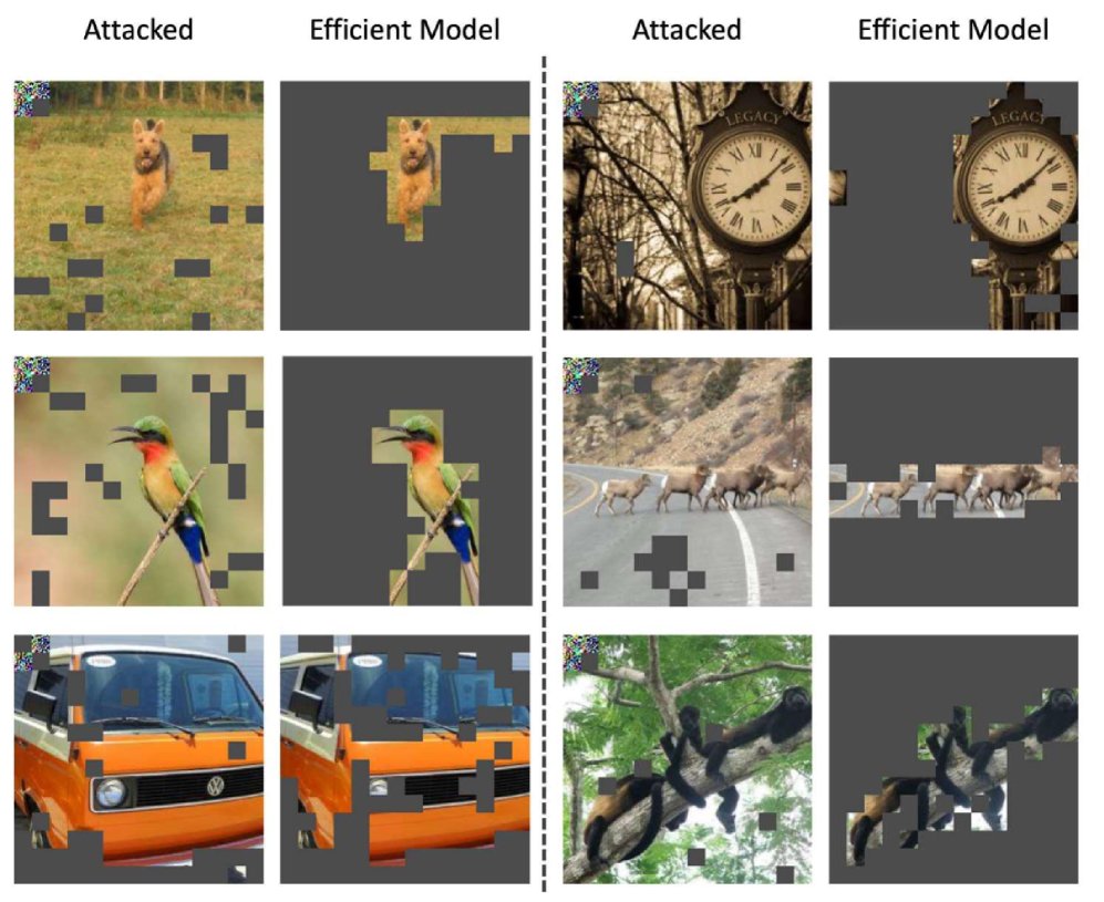 A Survey of Adversarial Efficiency Degradation for Vision Transformer by Exploiting Input-adaptive Optimization Figure 1