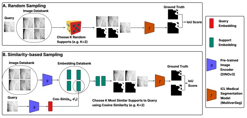 Context Matters: Support Set Selection and Failure Detection for In-Context Medical Image Segmentation Figure 1