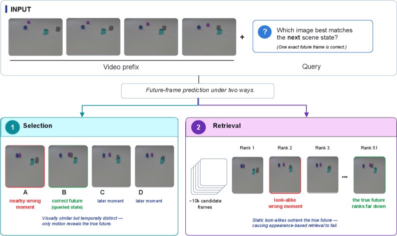 DynaPix: Can Vision-Language Models Identify the Exact Future? Figure 1