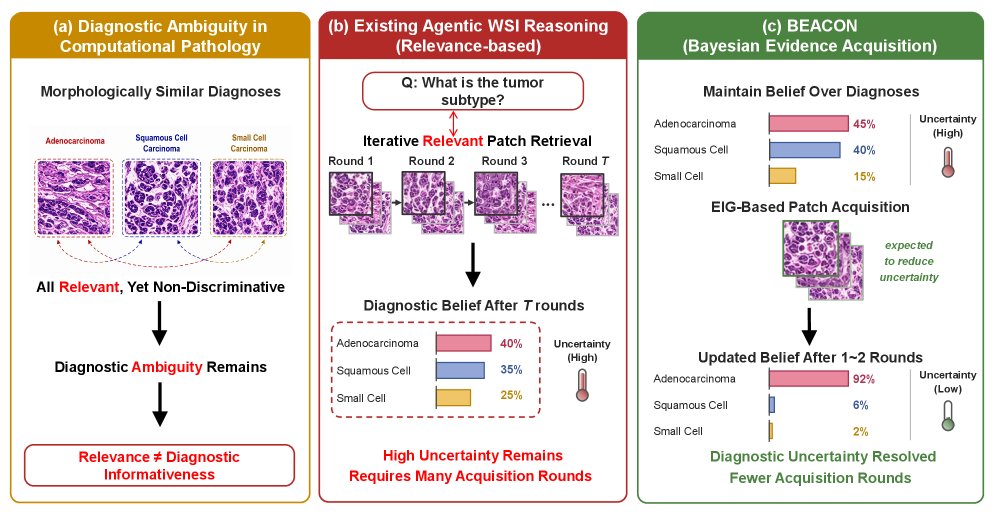 Beyond Relevance: Bayesian Evidence Acquisition for Agentic Whole-Slide Image Reasoning Figure 1