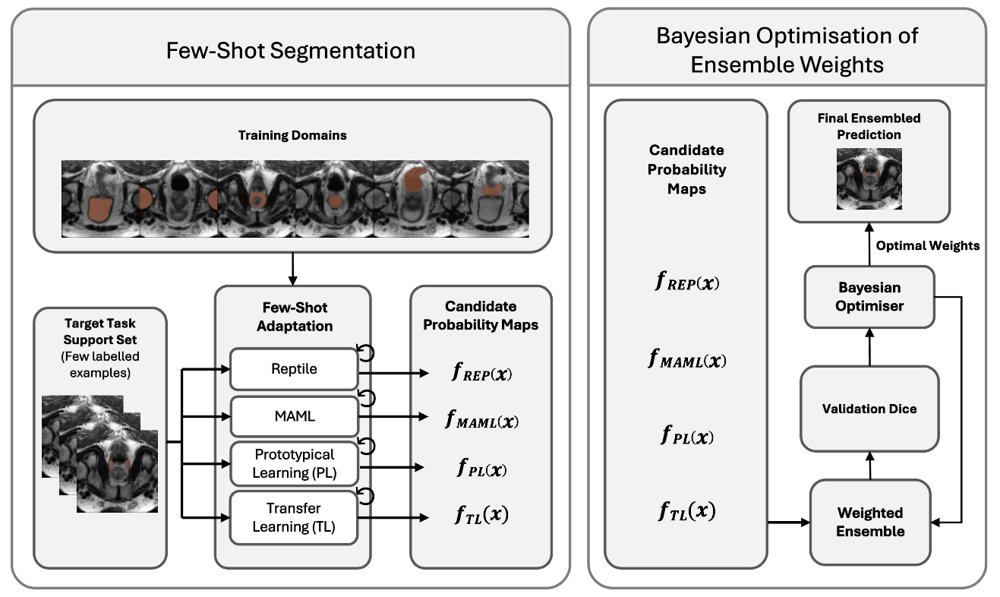 Bayesian adaptively-weighted ensembles for few-shot abdominal segmentation Figure 1