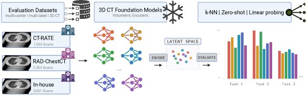Big, Bright, or Invisible: A Frozen-Feature Benchmark of 3D CT Foundation Models Figure 1