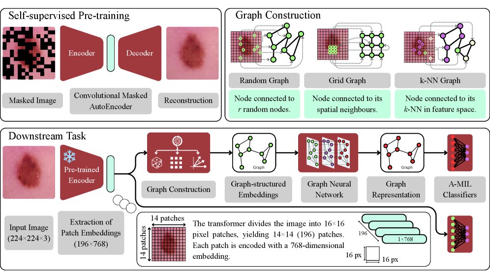Integrating Implicit and Explicit Relational Biases through Graph-Based Multiple Instance Learning: A Case Study in Skin Lesion Diagnosis Figure 1