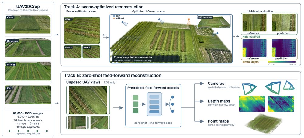 UAV3DCrop: Benchmarking 3D Reconstruction in Repeated Multi-Angle UAV Crop Surveys Figure 1
