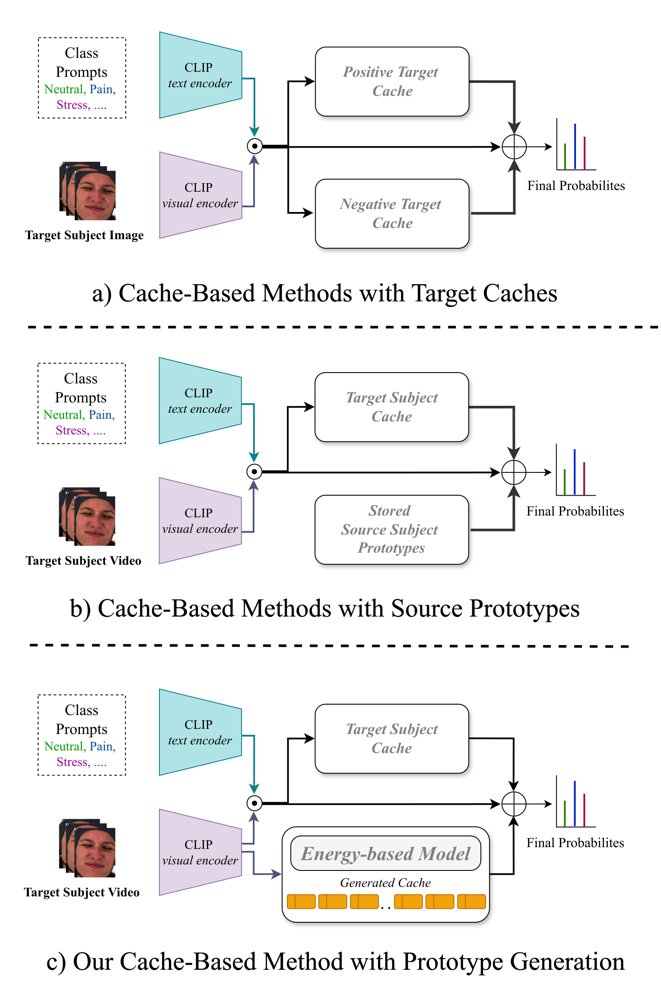 Test-Time Adaptation with Online Personalized Energy-Based Cache for Fine-Grained Video Expression Recognition Figure 1
