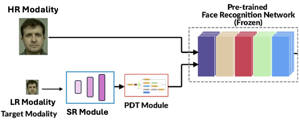 Improving Low-Resolution Face Recognition under Limited Data: How Synthetic Data Generation Can Close the Domain Gap Figure 1