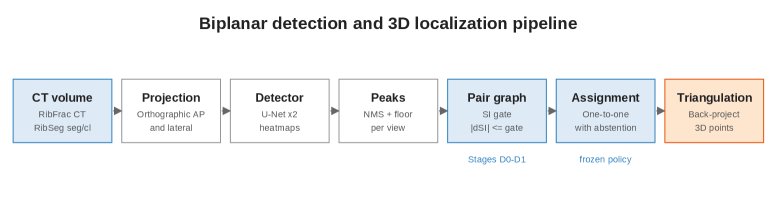 RibAssist 3D: Biplanar Rib-Fracture Detection, Addressing, and Selective 3D Localization from CT-Derived Projections Figure 1