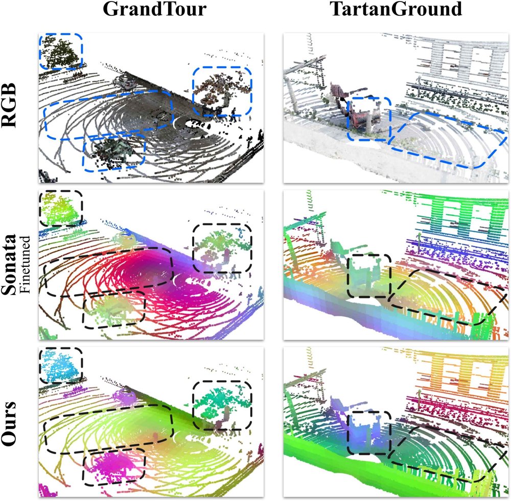Vernata: Self-Supervised Learning of LiDAR Point Representations Figure 1