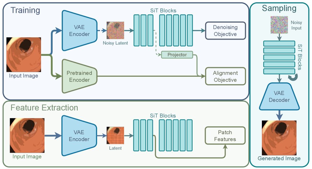 Representation-driven Endoscopic Visual Embedding Alignment for Latent Generation Figure 1