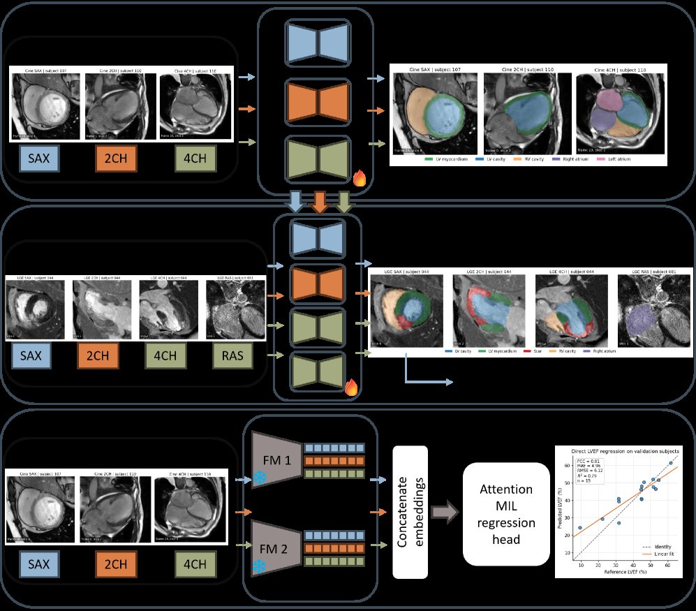 Foundation Models Adaptation for Multi-View Multi-modal Cardiac MRI Segmentation and Direct Ejection Fraction Estimation Figure 1
