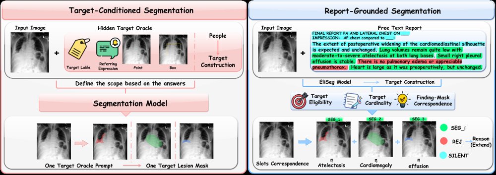 EliSeg: Verified Target Construction for Report-Grounded Abnormality Segmentation Figure 1