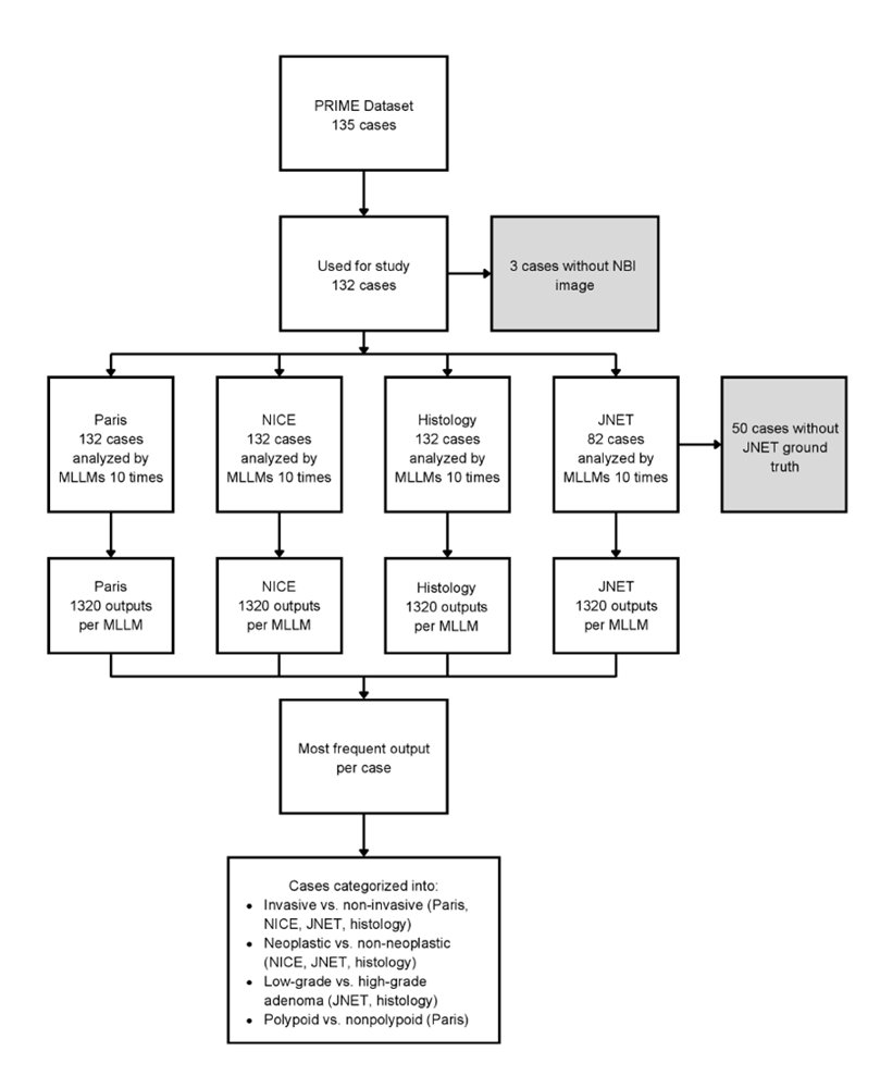 Performance of large language models in the optical diagnosis of colorectal polyps Figure 1