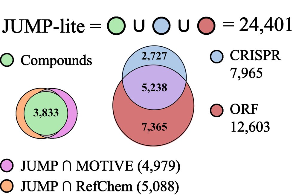 JUMP-lite: Compact, reproducible benchmarking of cell representations Figure 1