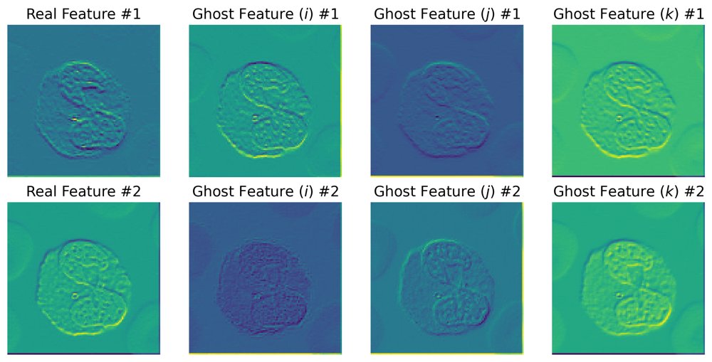Ghost Features and Spooky Transfer Learning for Hypercomplex-Valued Neural Networks Figure 1