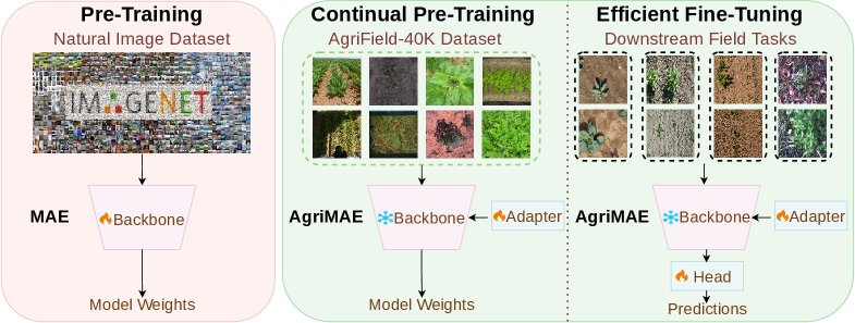 AgriField-40K: Adapting Vision Models to Agriculture With Efficient Continual Pretraining Figure 1