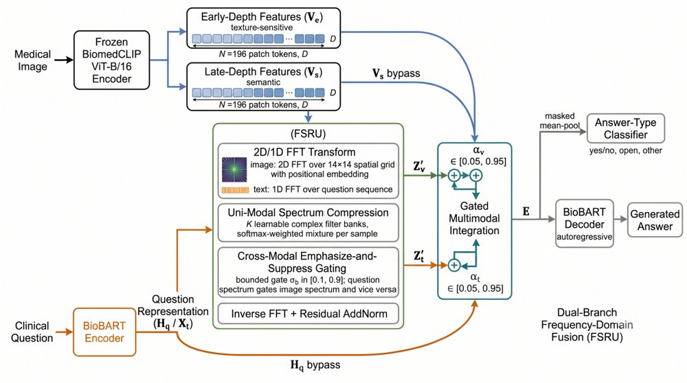 Frequency-Domain Dual-Branch Fusion for Medical Visual Question Answering Figure 1