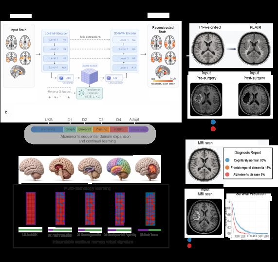 A continually expandable foundation model for brain MRI Figure 1