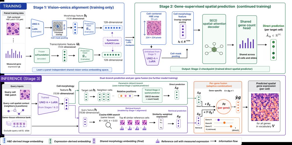 VOICE: A Vision-Omics Foundation Model Integrating Direct and Retrieval-Based Prediction of In-situ Single-Cell Gene Expression Figure 1