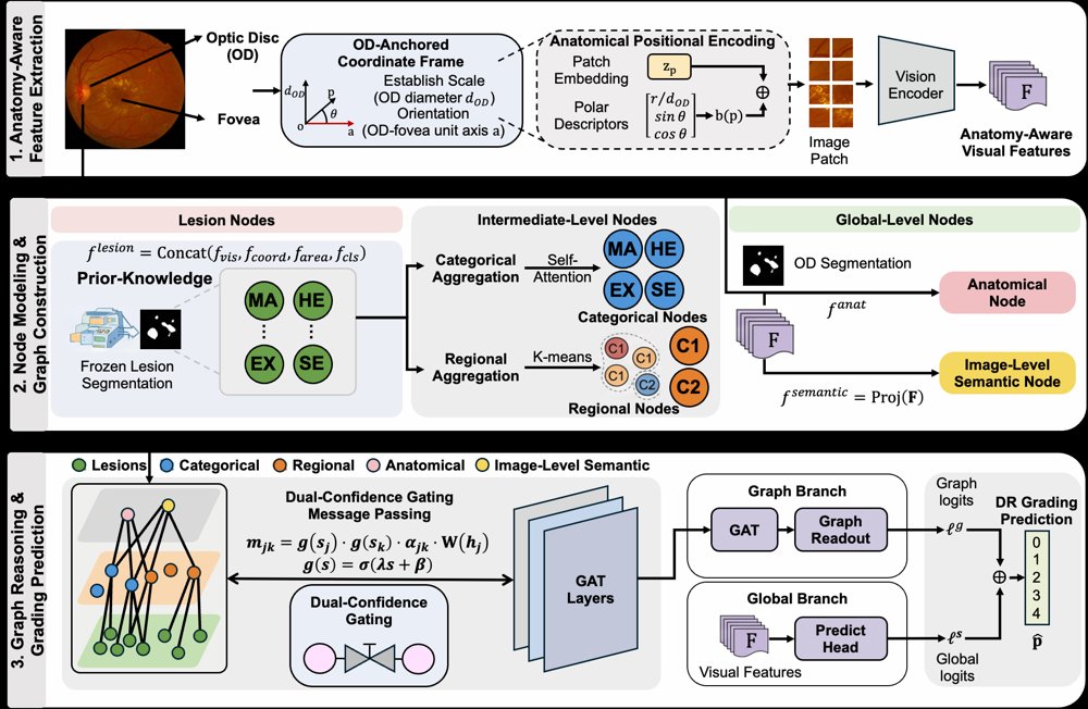 PARAGraph: Pathology-Anatomy-Aware Hierarchical Graph for Diabetic Retinopathy Grading Figure 1