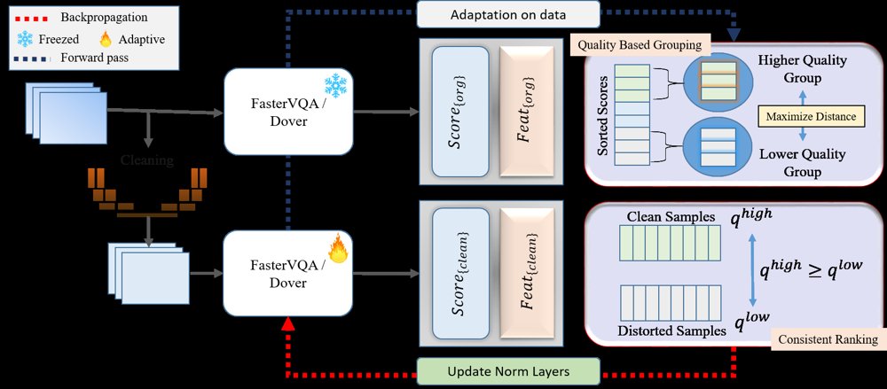 Towards Adaptive Super-Resolution and Quality Assessment via Test-Time Adaptation Figure 1