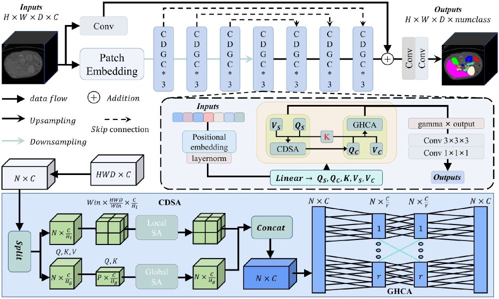 CDGC-Net: 3D Medical Image Segmentation with Cooperative Dual-Scale Self-Attention and Grouped Channel Modeling Figure 1