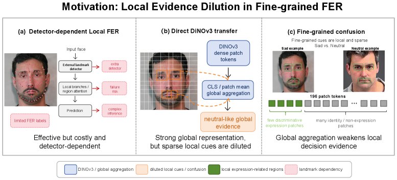 SRE-FER: Regional residual evidence learning for mitigating local evidence dilution in fine-grained facial expression recognition Figure 1