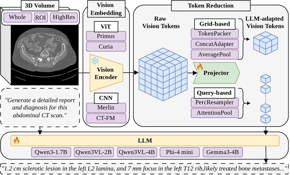 Resolution Meets Reduction: Efficient Visual Context for 3D Radiology Report Generation Figure 1