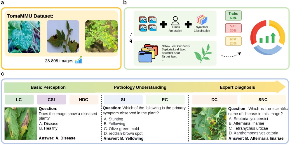 TomaMMU: A Comprehensive Multimodal Understanding Benchmark for Tomato Leaf Diseases Figure 1
