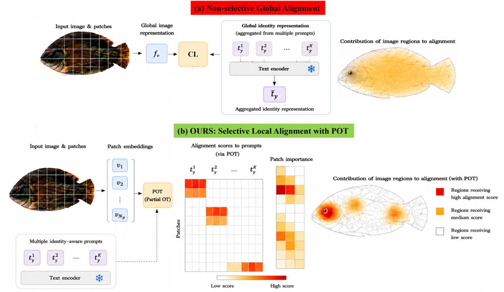SLAP: Selective Local Vision-Language Alignment for Fish Re-Identification via Partial Optimal Transport Figure 1
