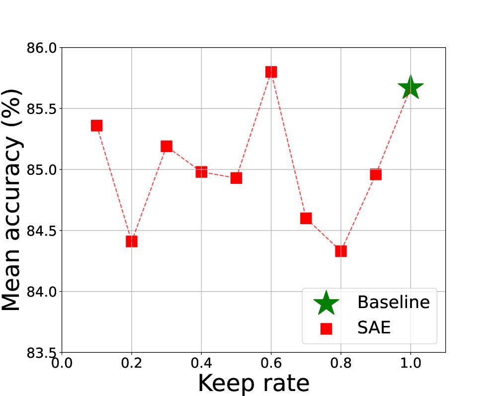 Sparse Attention to Emotion: Efficient Facial Emotion Recognition via Token Reduction Figure 1