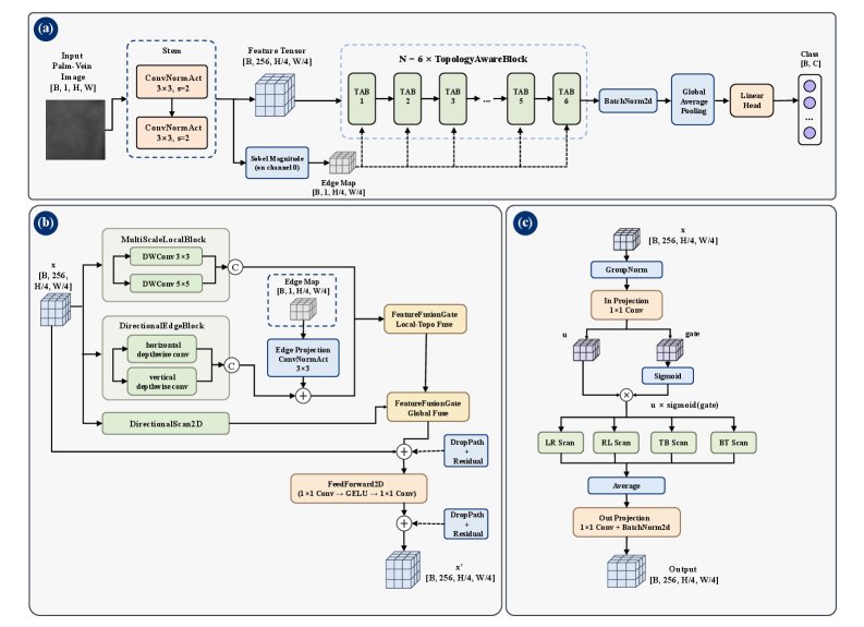 Topology-Aware Global-Local Mamba Networks for Palm Vein Biometrics Figure 1