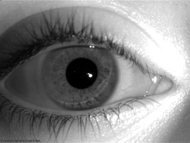 Detecting Clear Contact Lenses for Iris Recognition: A Two-Stage Mask-Guided Attention Approach Figure 1