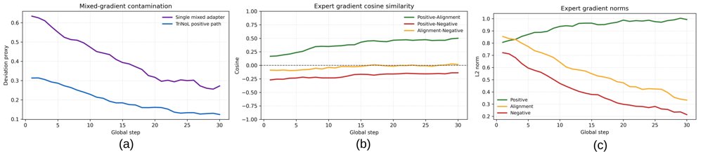 Triple Expert Learning from Noisy Labels for Semi-Supervised Vision Foundation Model Adaptation Figure 1