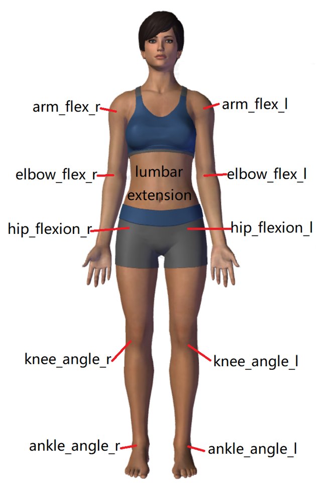 Learning human joint torques from pixels Figure 1