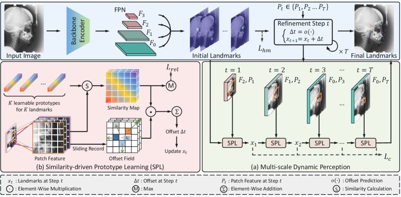 Rethinking Medical Landmark Localization with Prototype Learning-based Progressive Offset Correction Figure 1