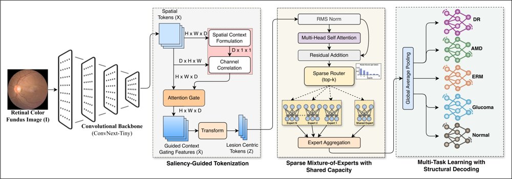 Disentangling Co-Occurring Retinal Pathologies with Saliency-Guided Sparse Expert Routing Figure 1