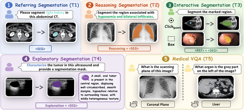 MedPixel: A Unified Pixel-Language Model for Medical Reasoning and Segmentation Figure 1