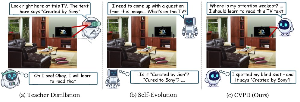 Perception Before Supervision: Self-Contained Visual Distillation from Counterfactual Blind Spots Figure 1