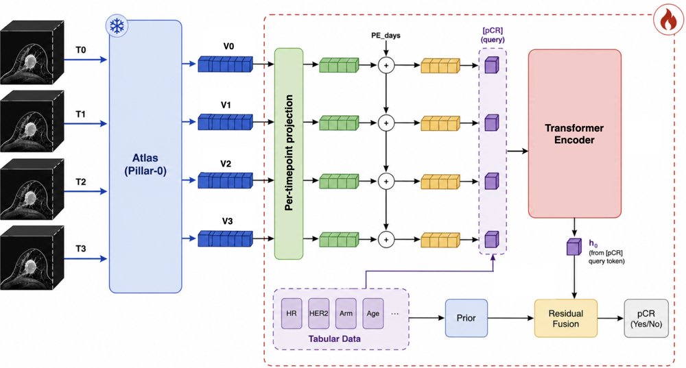 Longitudinal 3D Foundation Modeling for Neoadjuvant Breast Cancer Response Prediction from Serial DCE-MRI Figure 1