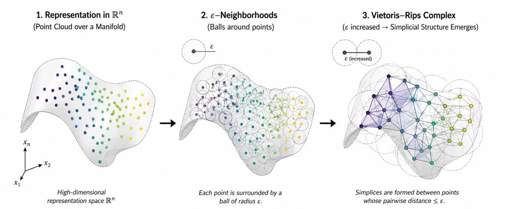 Transformer Geometry Observatory TGO-IV: Developmental Topology Observatory Figure 1