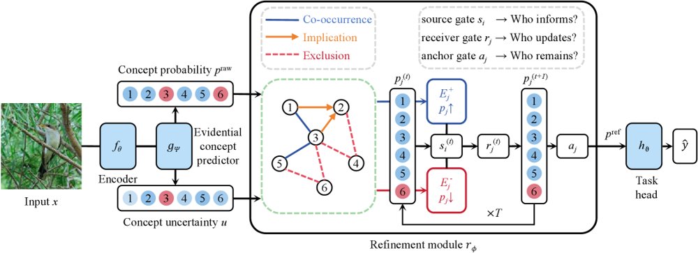 ReCBM: Uncertainty-Gated Relational Reasoning for Concept Bottleneck Models Figure 1