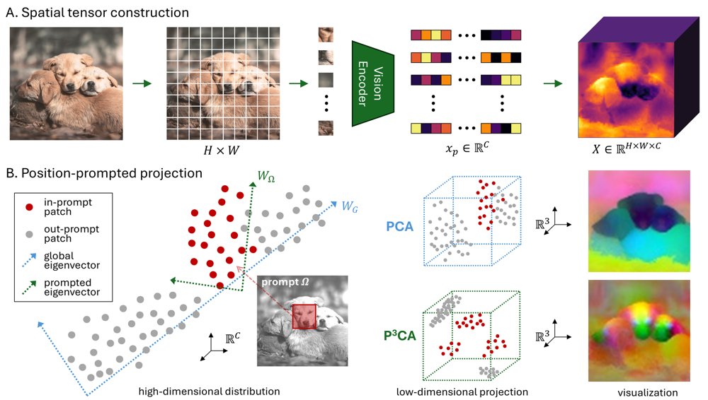 P3CA: Encoder-Agnostic Interpretation of Vision Foundation Model Embeddings via Spatial Probing Figure 1