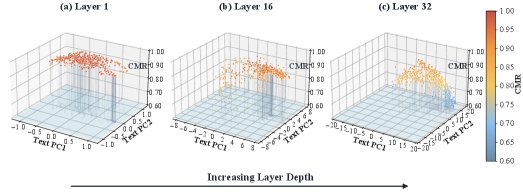When Vision Becomes Text: Visual Token Pruning via Cross-Modal Residual Guidance in VLMs Figure 1