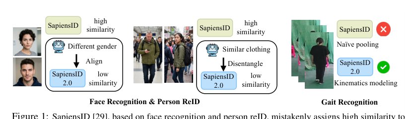 SapiensID 2.0: Aligning Human Recognition Foundation Models with Human Perception Figure 1